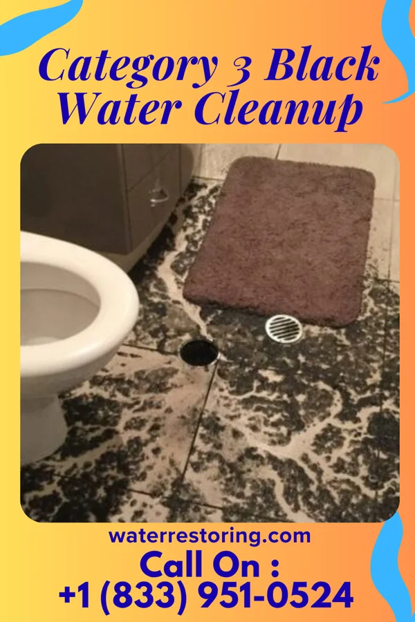 Category 3 Black Water Cleanup in Cherryvale, KS
