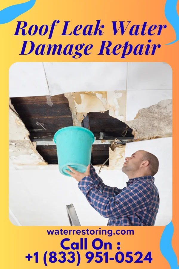 Roof Leak Water Damage Repair in Cherryvale, KS