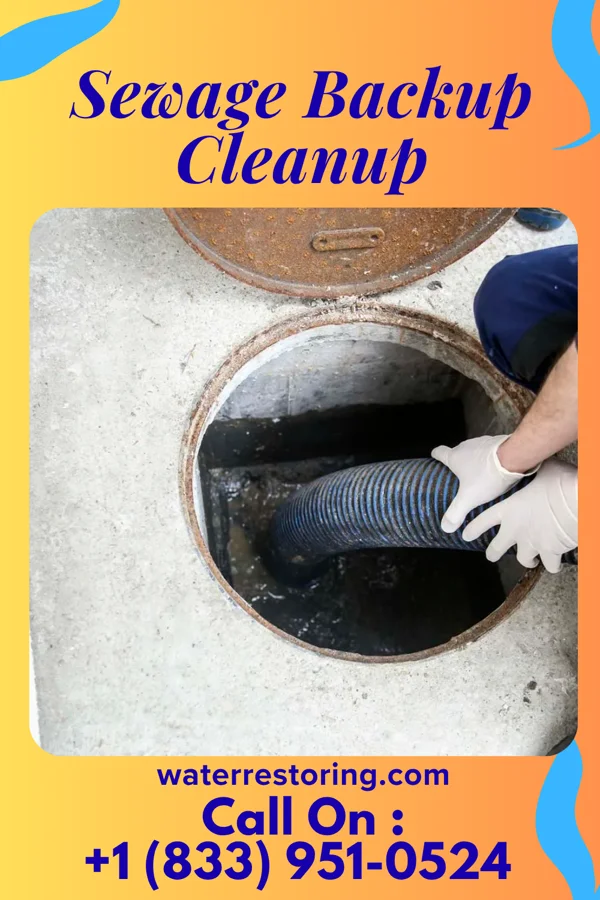 Sewage Backup Cleanup in Cherryvale, KS